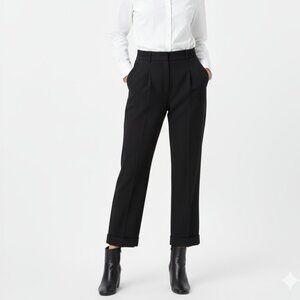 Aritzia Wilfred Dress Pants